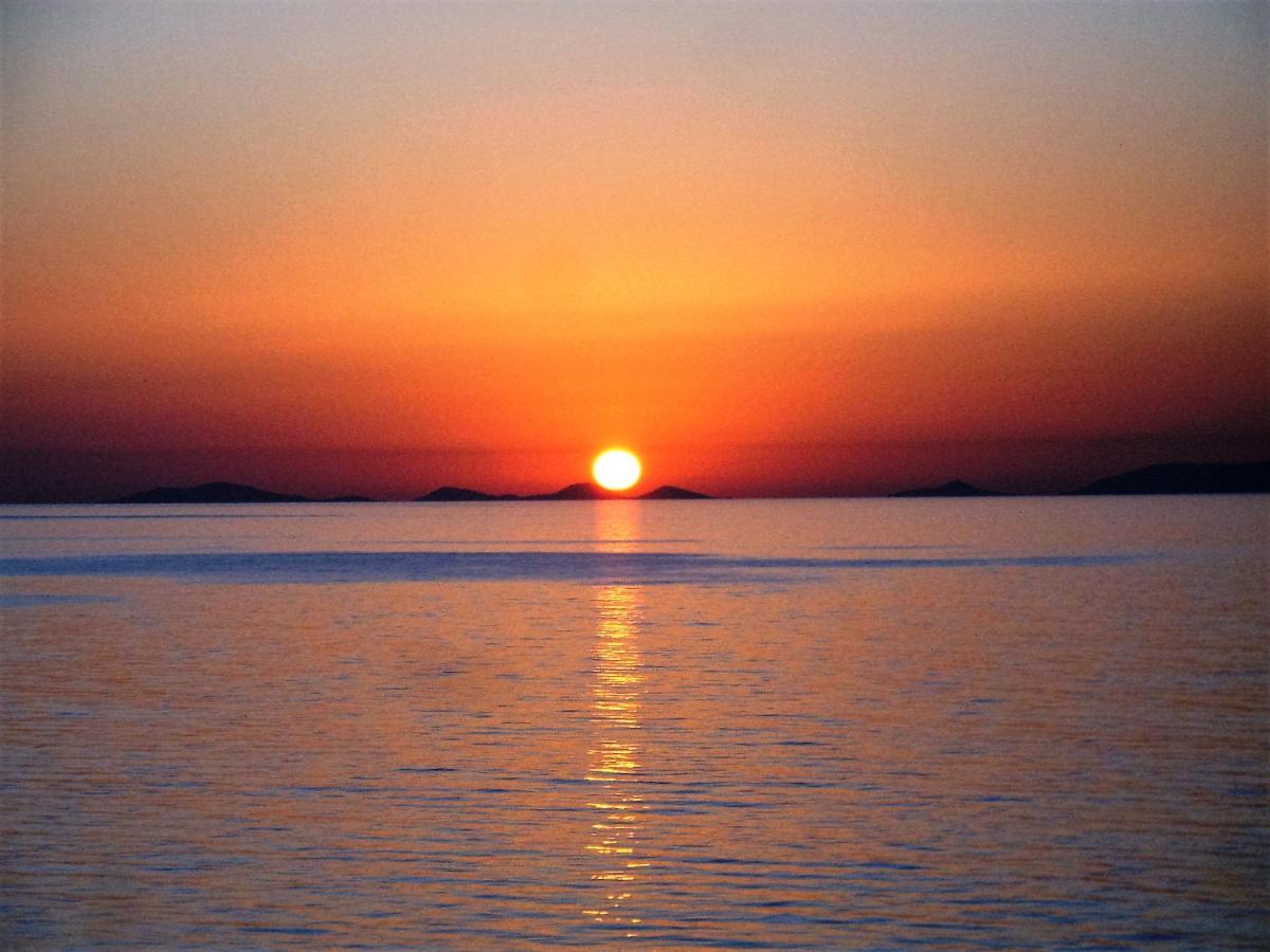 Alba Stupendo Appartamento In Villa Fronte Mare - Golfo Dell'Asinara - Internet Free Валледория Экстерьер фото
